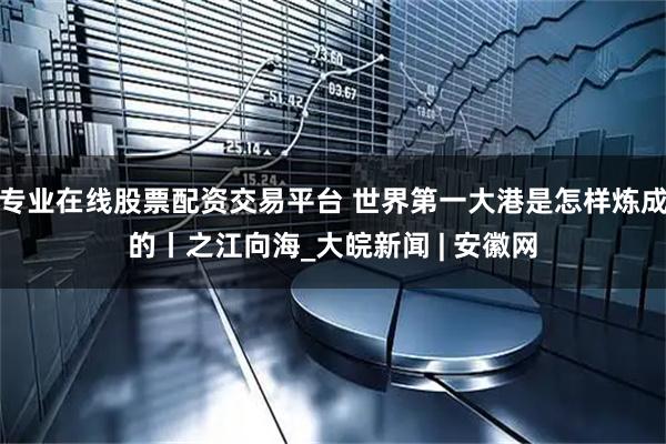 专业在线股票配资交易平台 世界第一大港是怎样炼成的丨之江向海_大皖新闻 | 安徽网